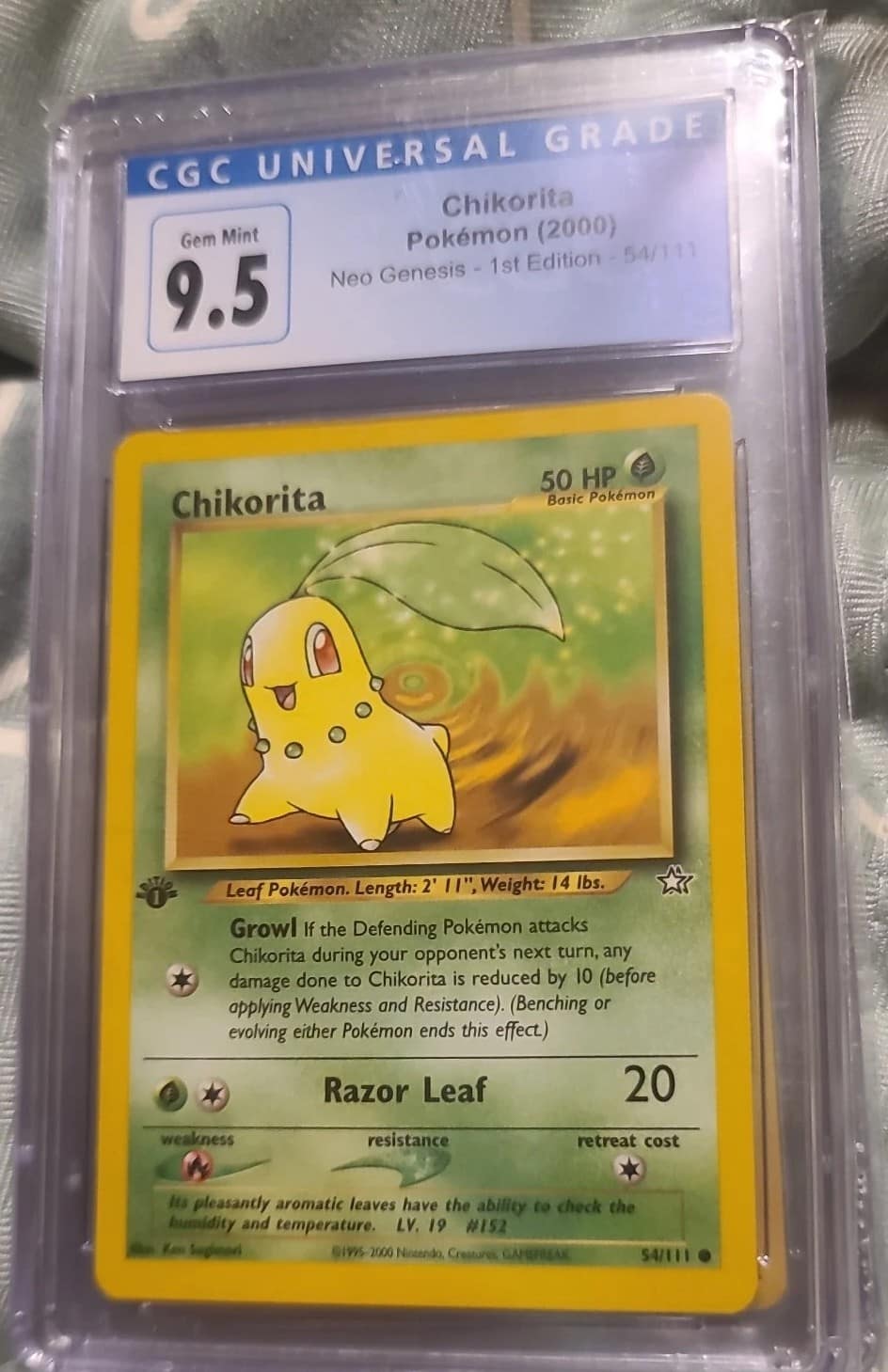 Chikorita