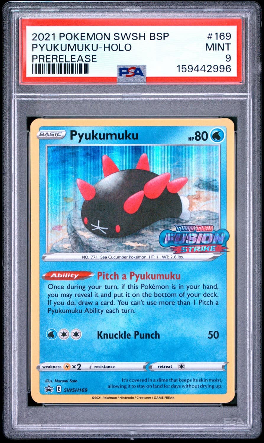Pyukumuku