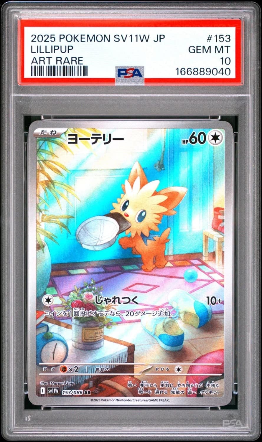 Lillipup