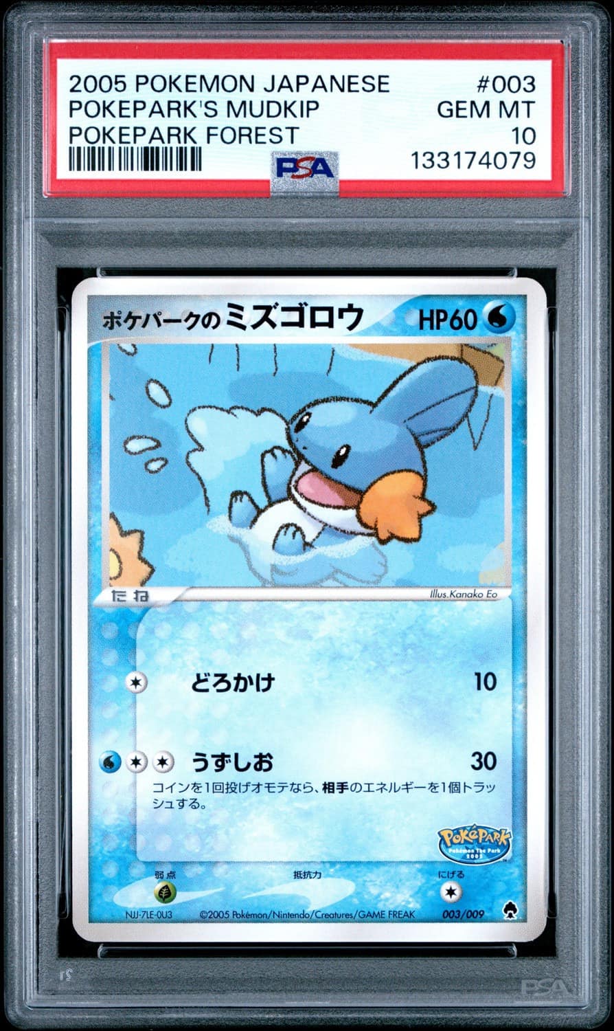 Pokepark'S Mudkip