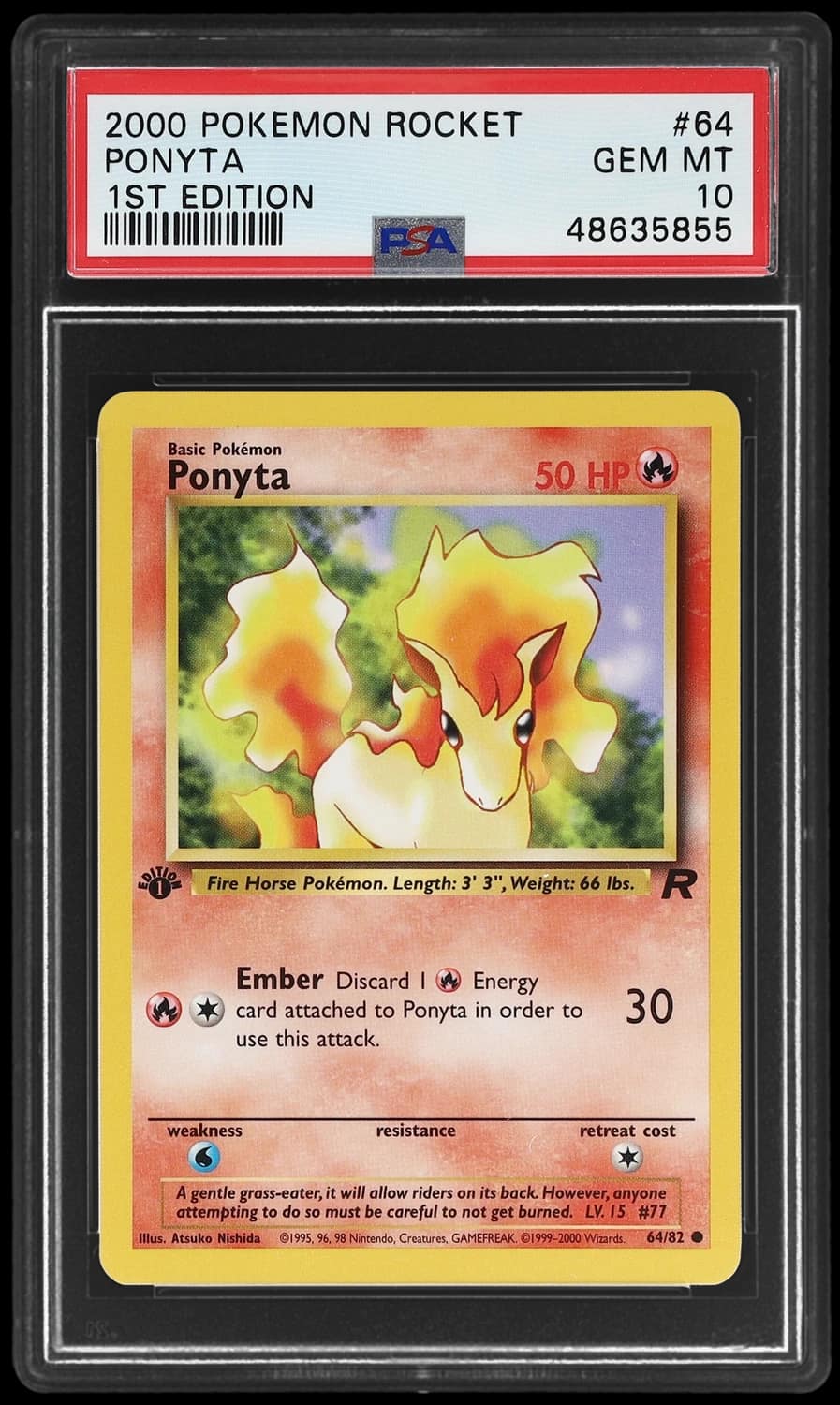 Ponyta