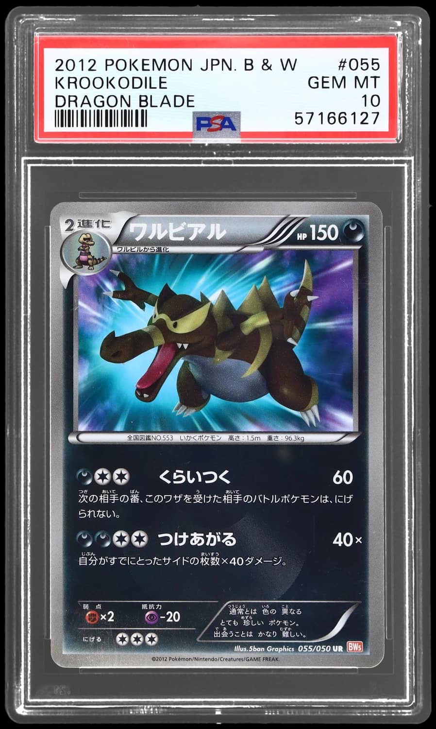 Krookodile