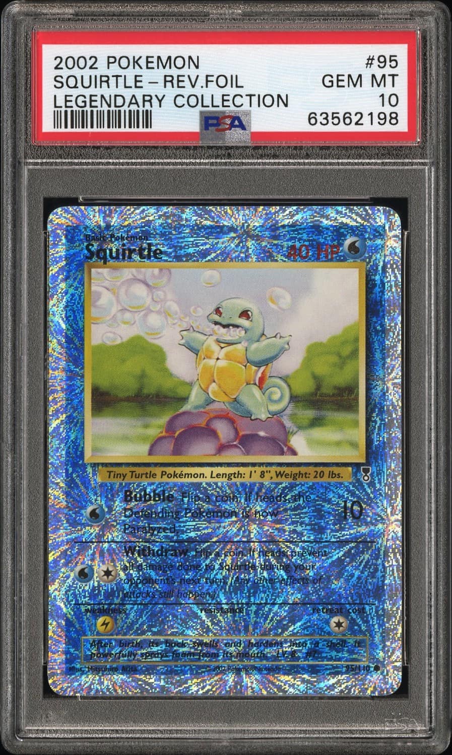 Squirtle