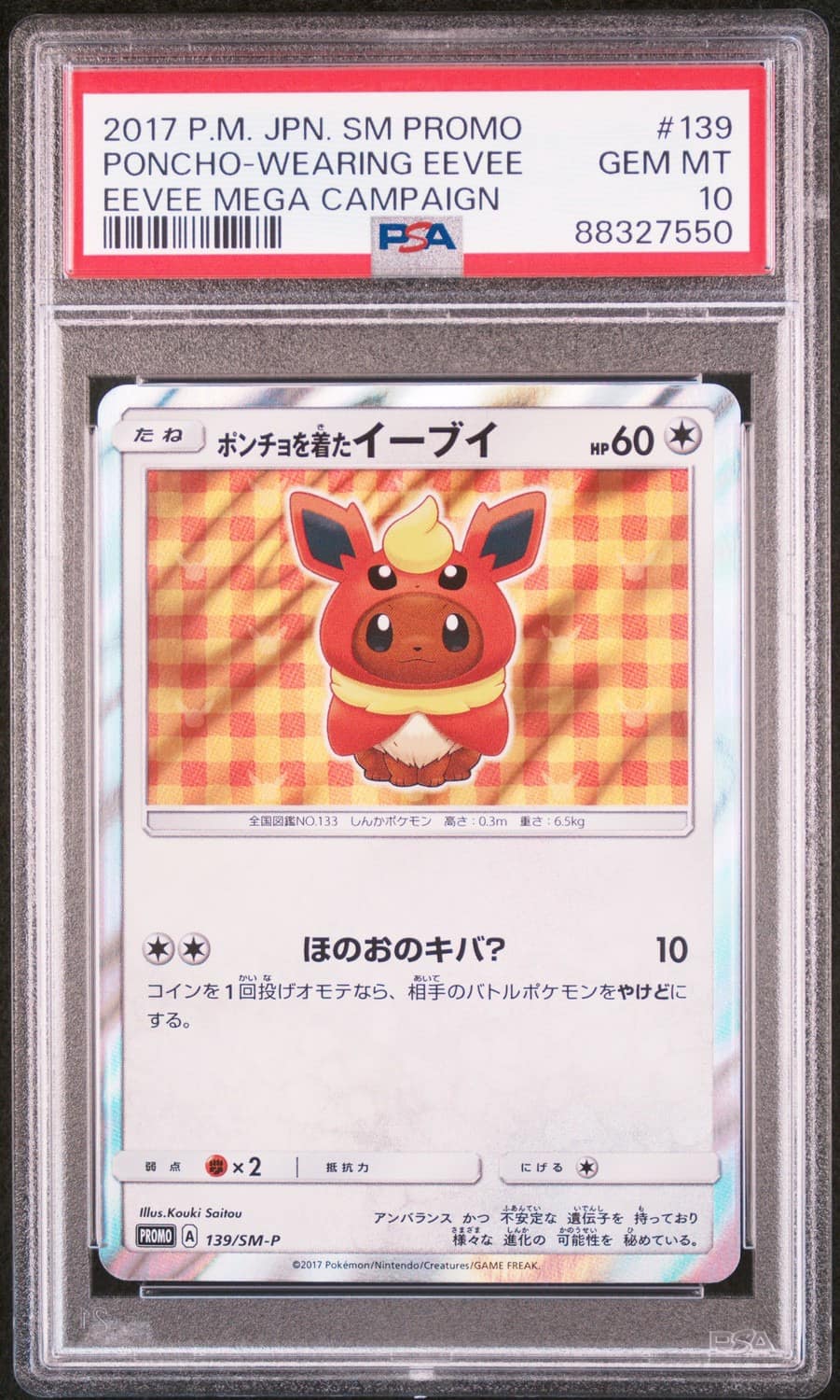 Poncho-Wearing Eevee
