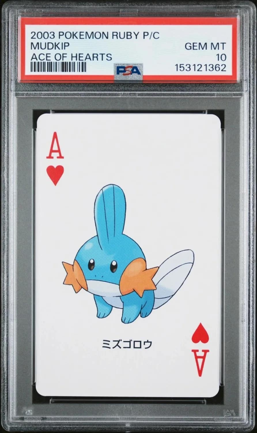 Mudkip