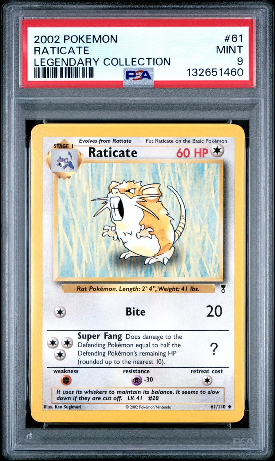 Raticate