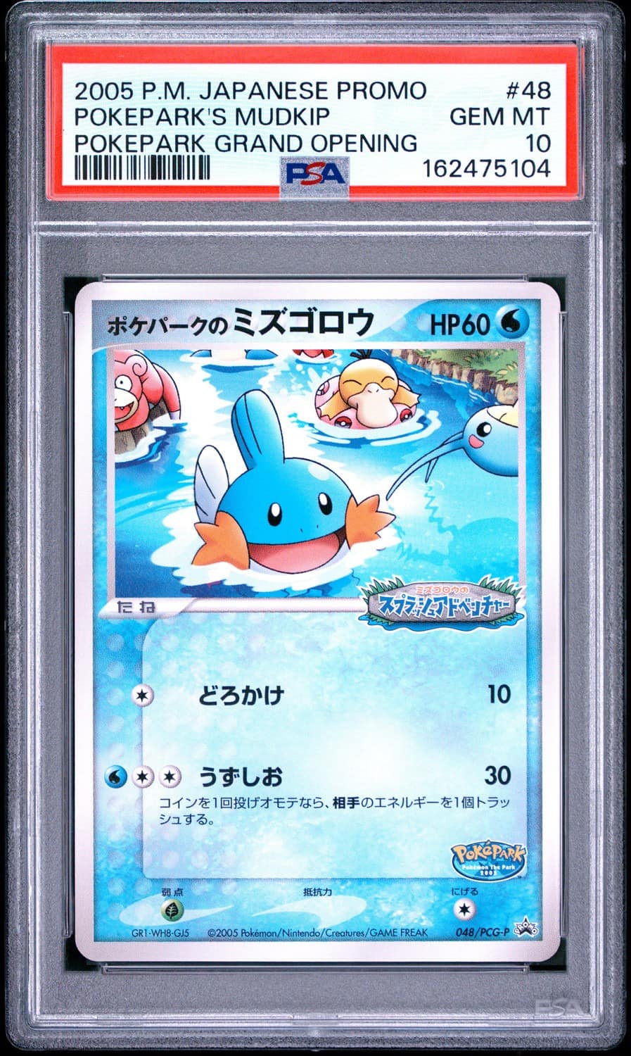 Pokepark'S Mudkip