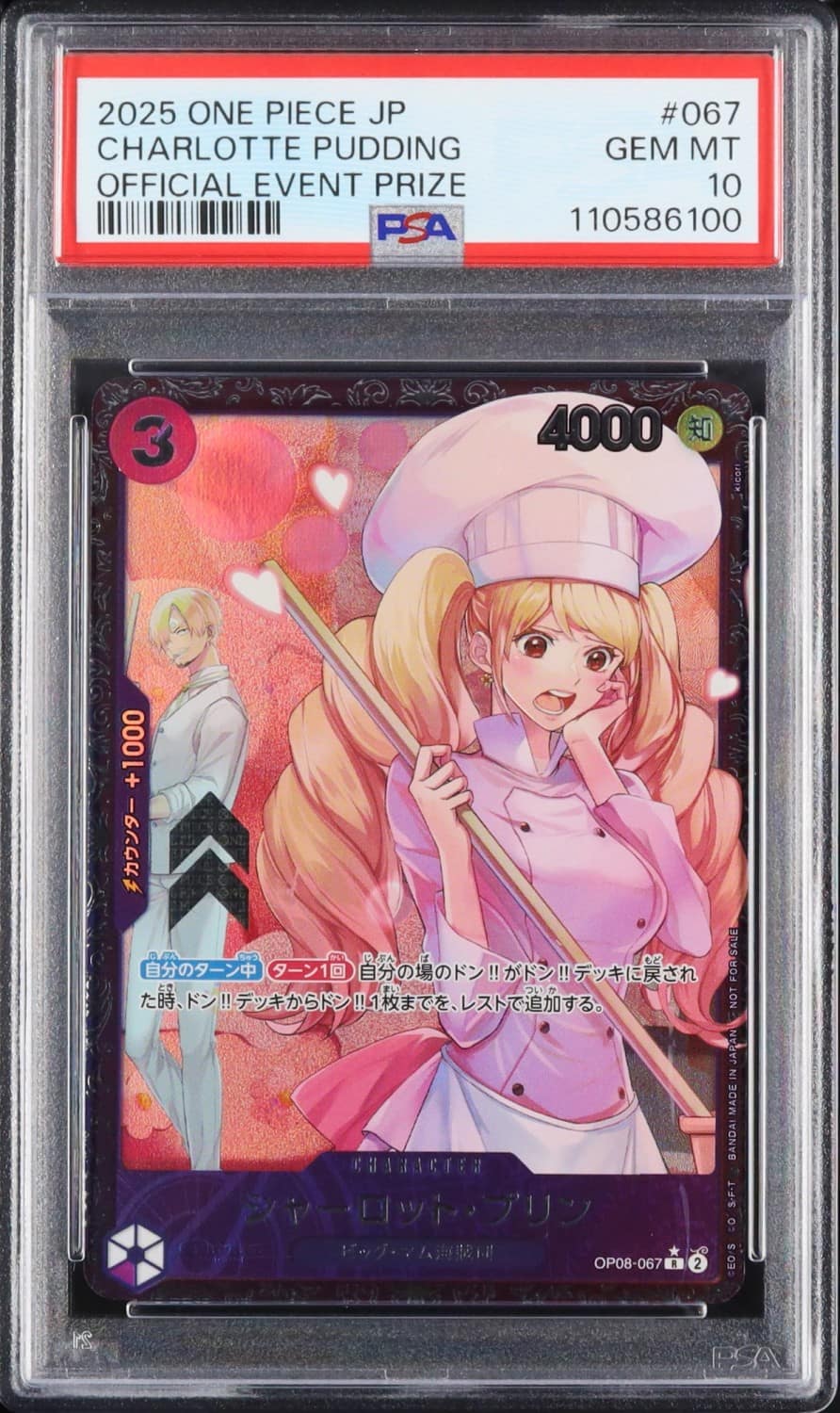 Charlotte Pudding
