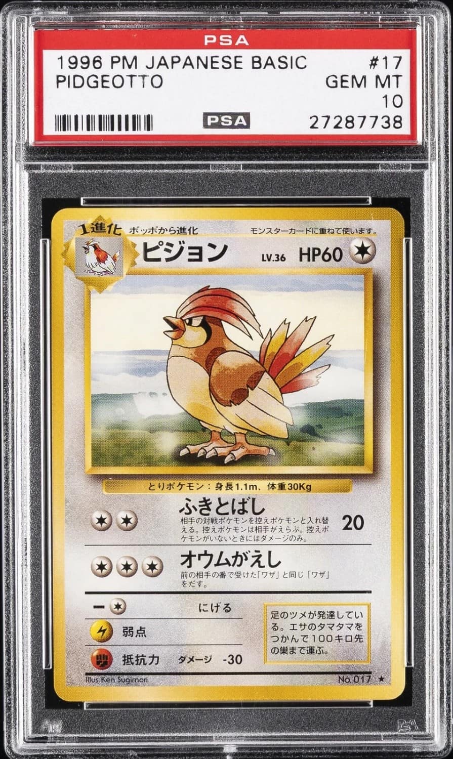 Pidgeotto