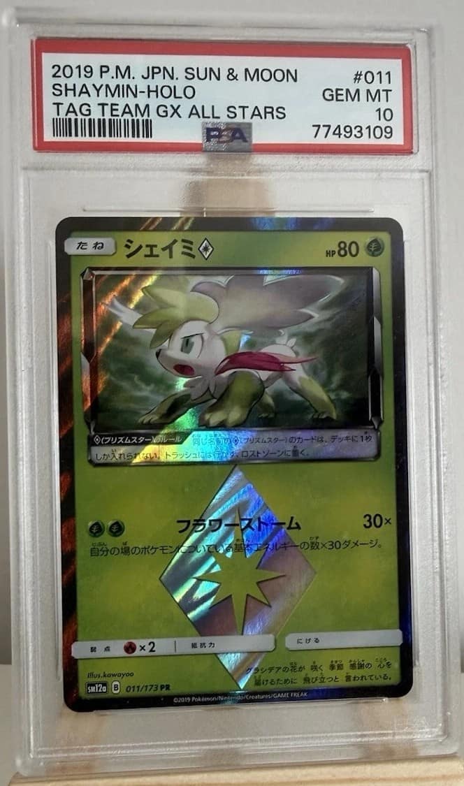 Shaymin ◇