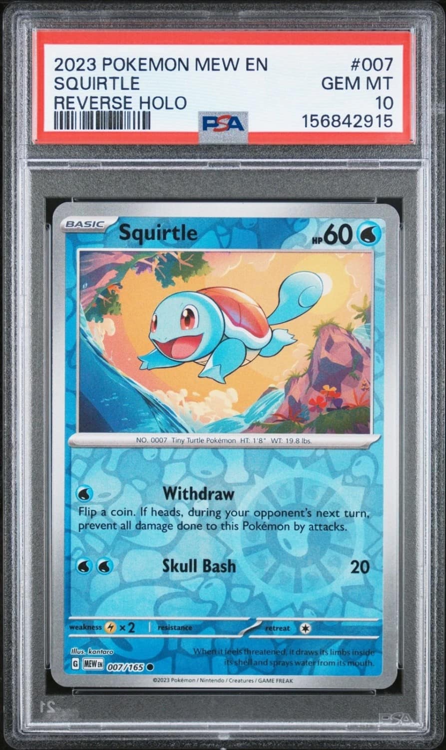 Squirtle