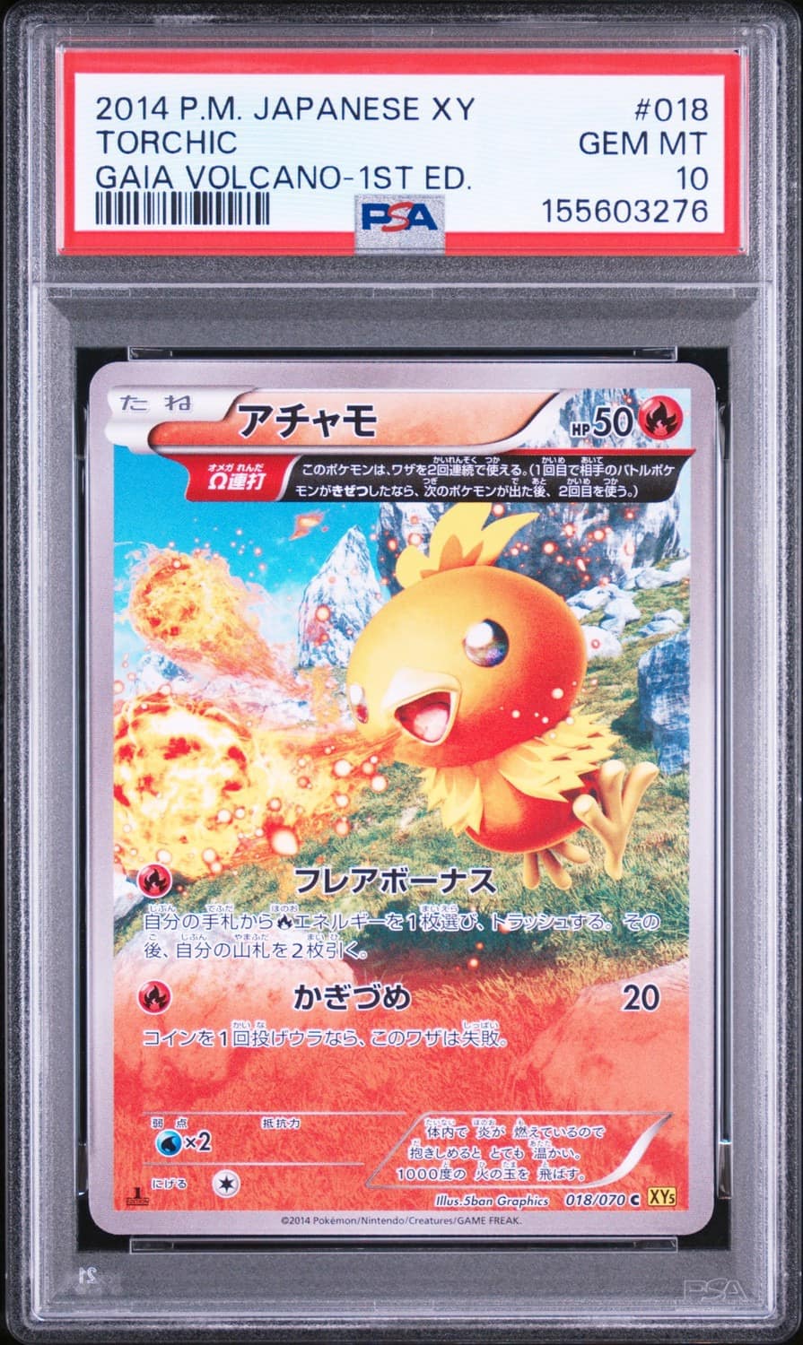 Torchic