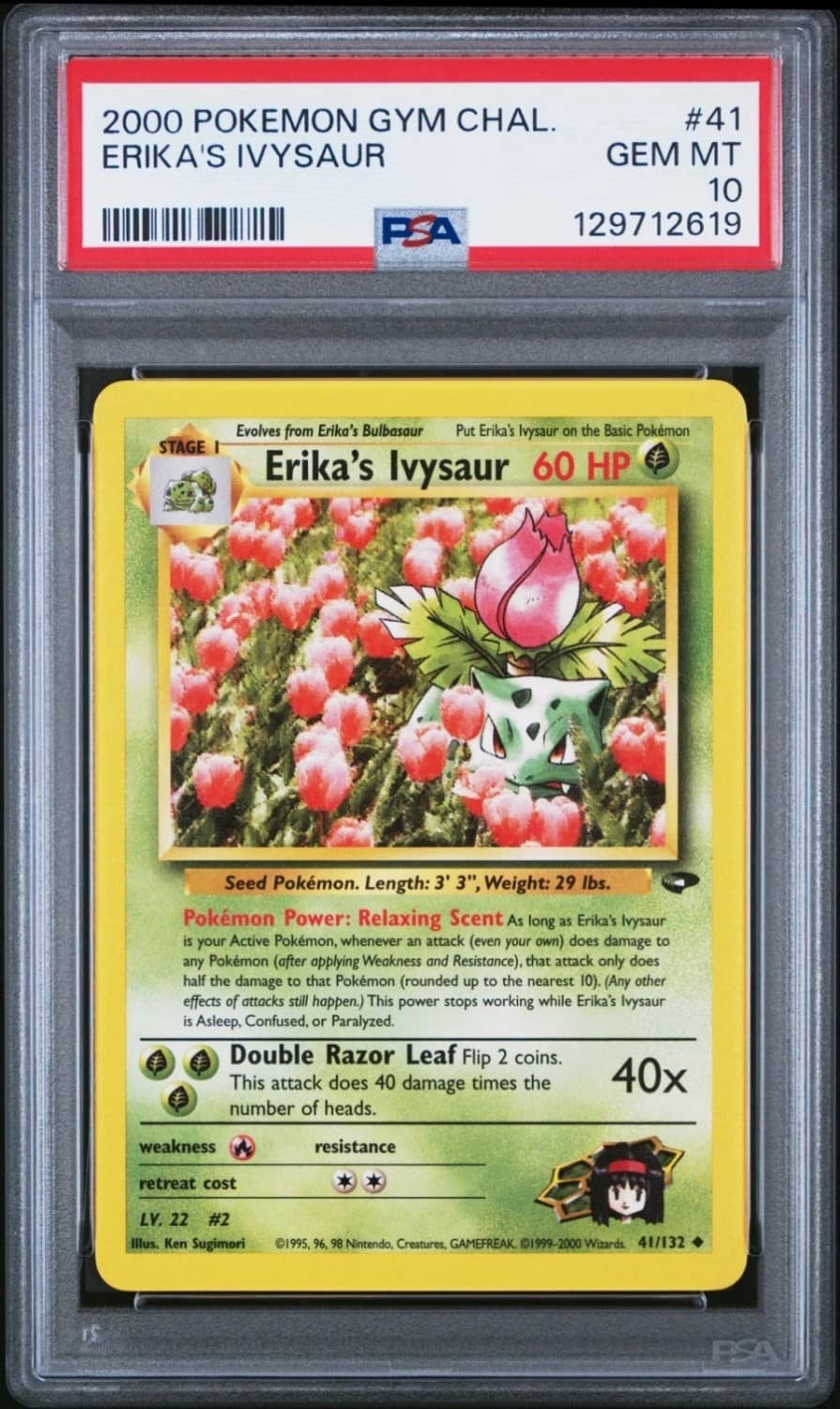 Erika'S Ivysaur