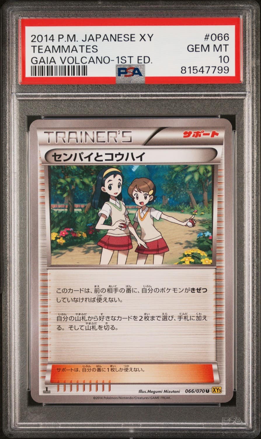 Teammates