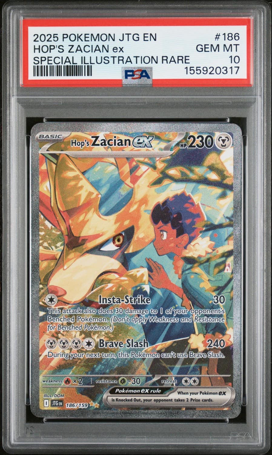 Hop'S Zacian Ex