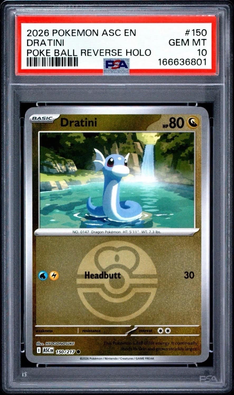 Dratini