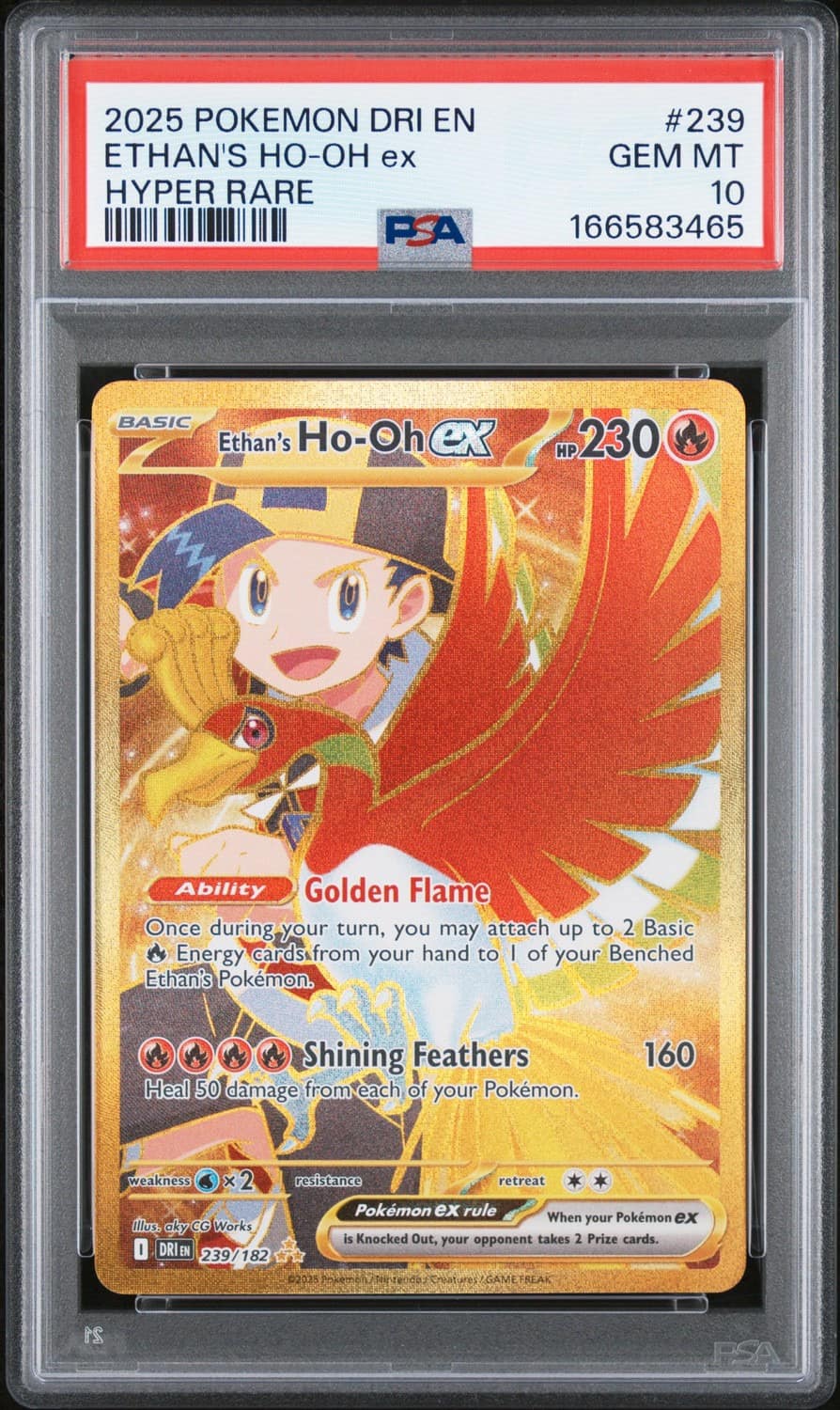 Ethan'S Ho-Oh Ex