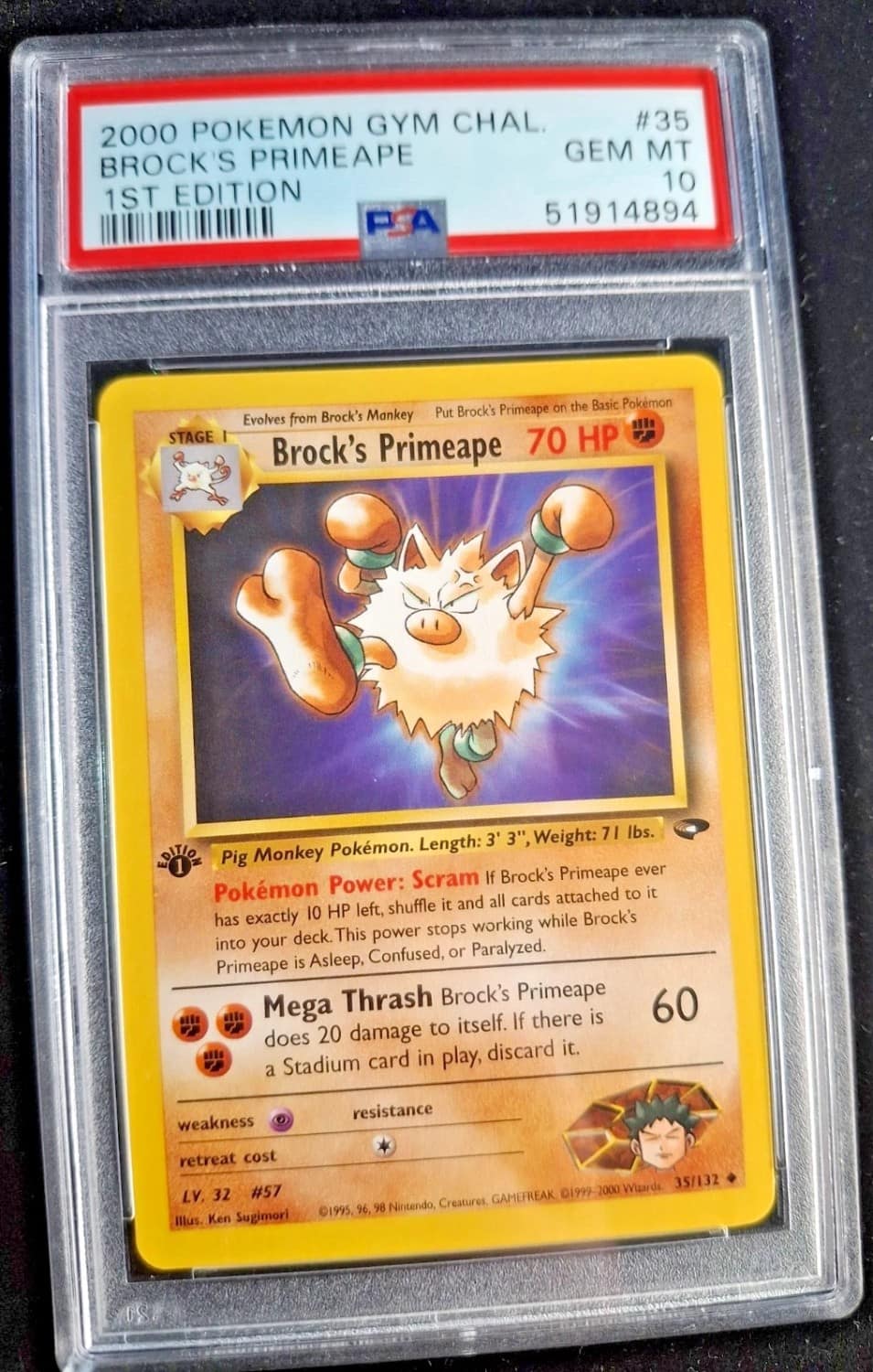 Brock'S Primeape
