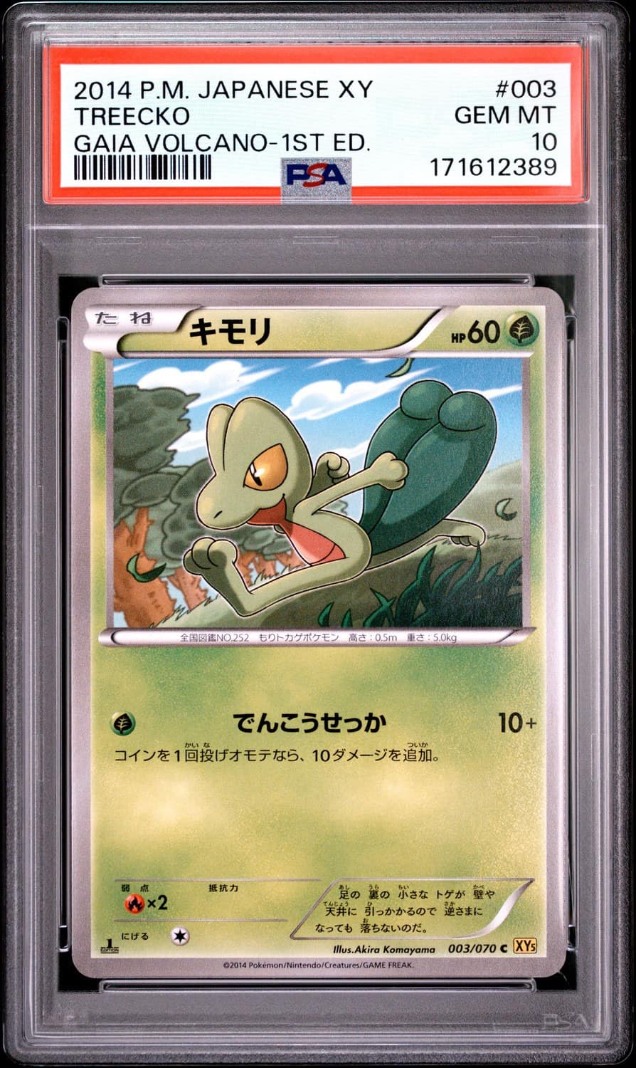 Treecko