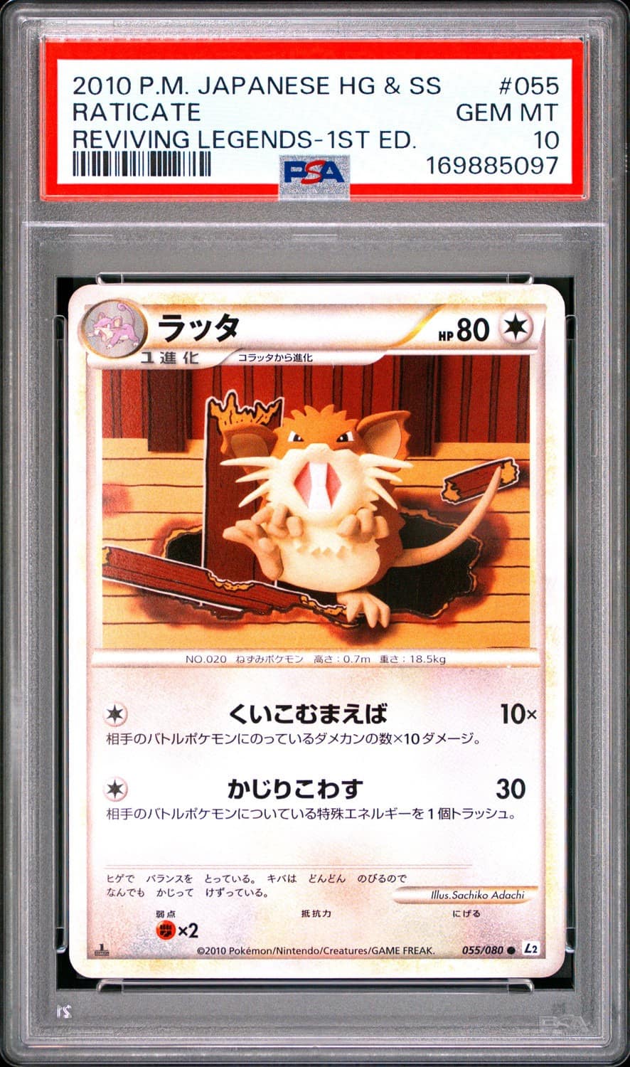 Raticate
