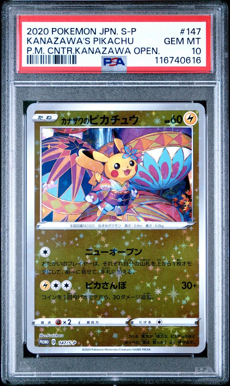 Kanazawa'S Pikachu