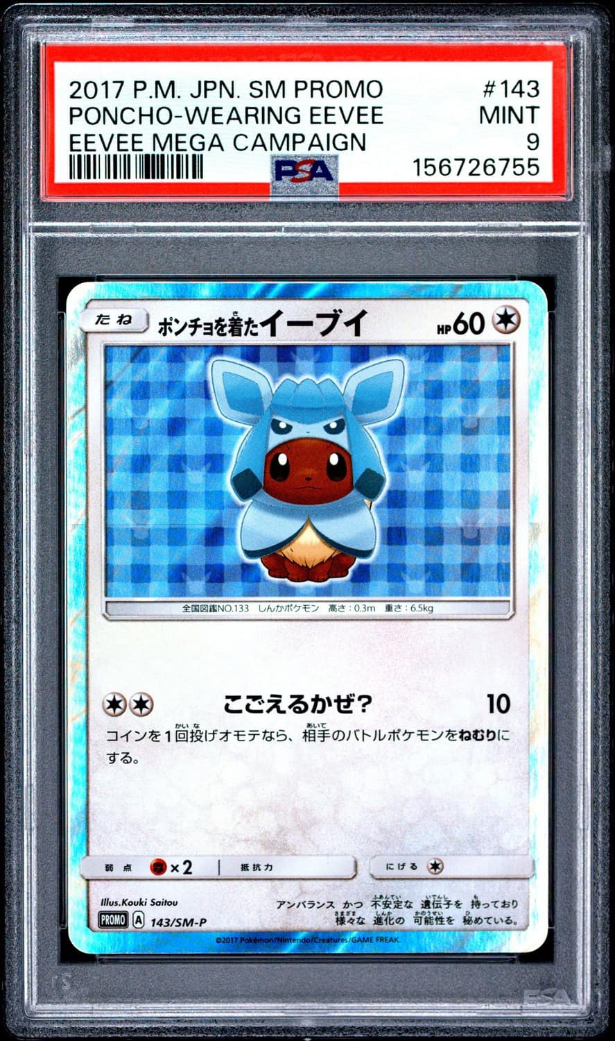 Poncho-Wearing Eevee