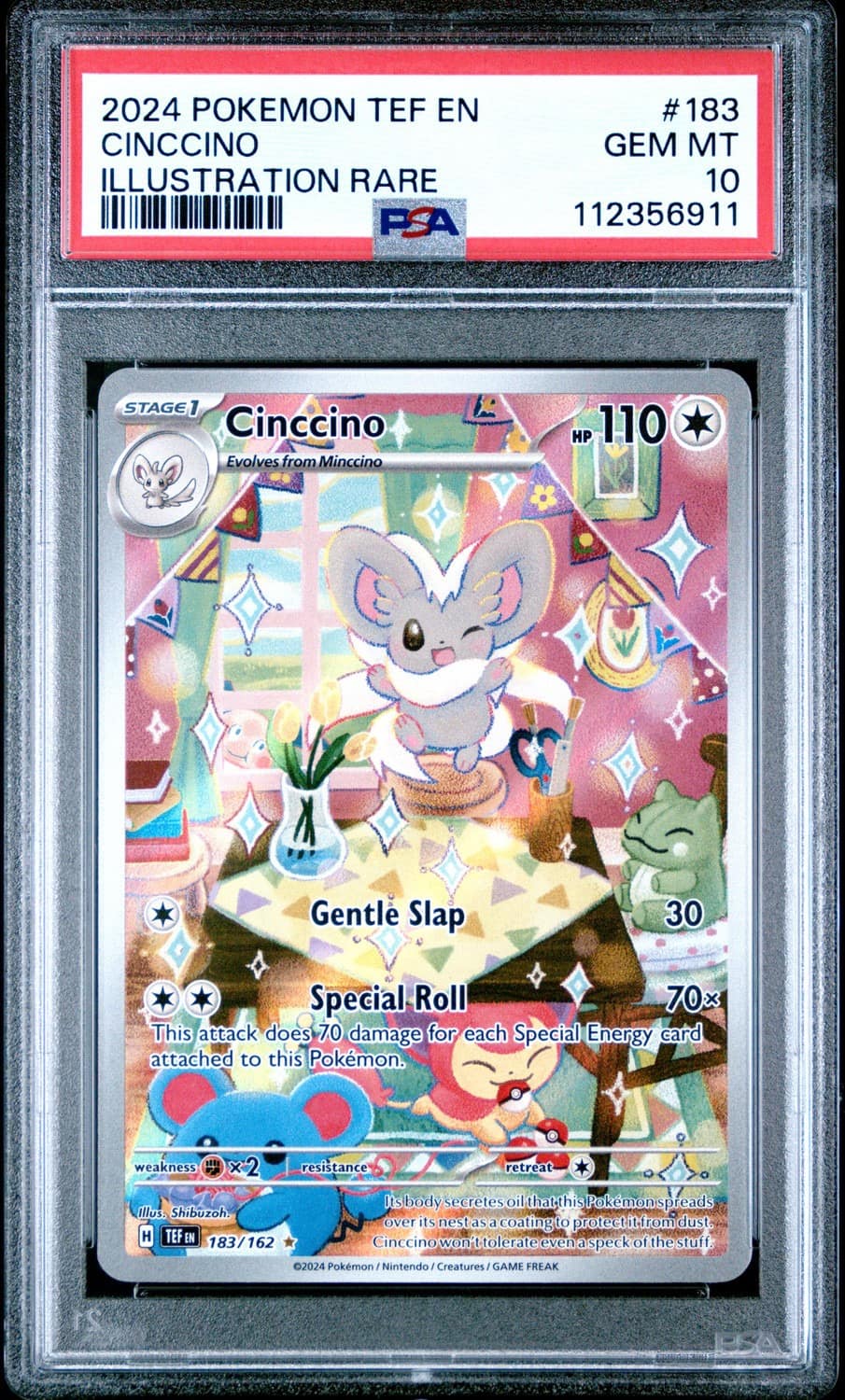 Cinccino