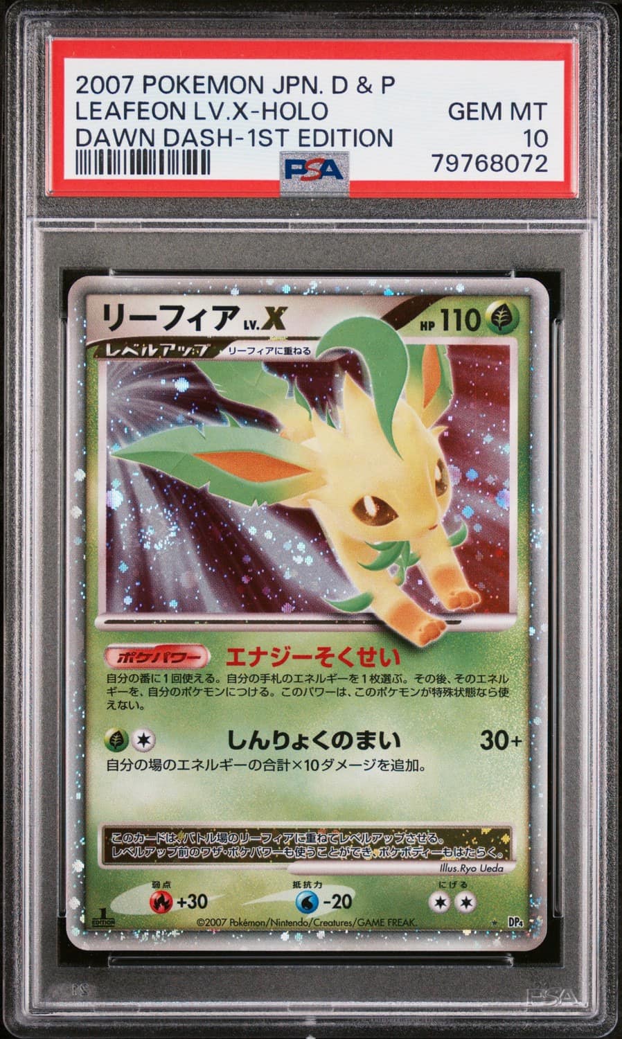 Leafeon Lv X
