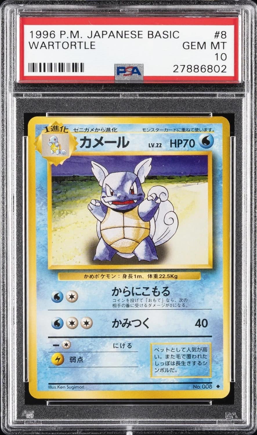 Wartortle