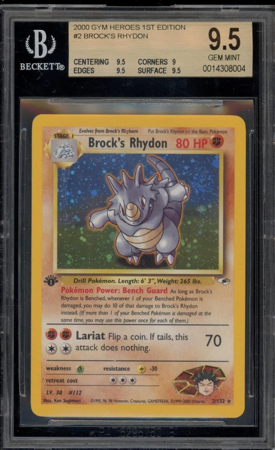 Brock'S Rhydon