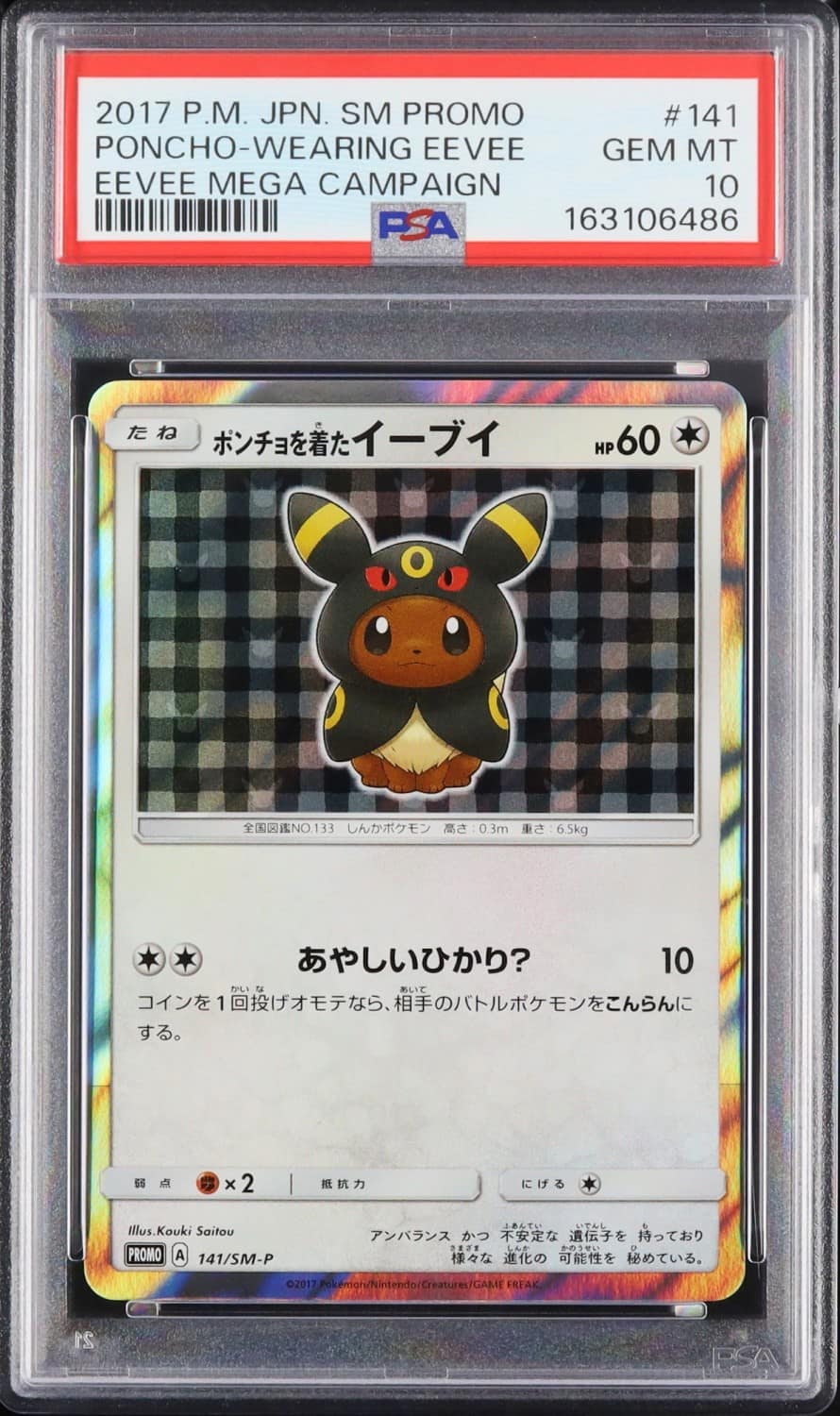 Poncho-Wearing Eevee