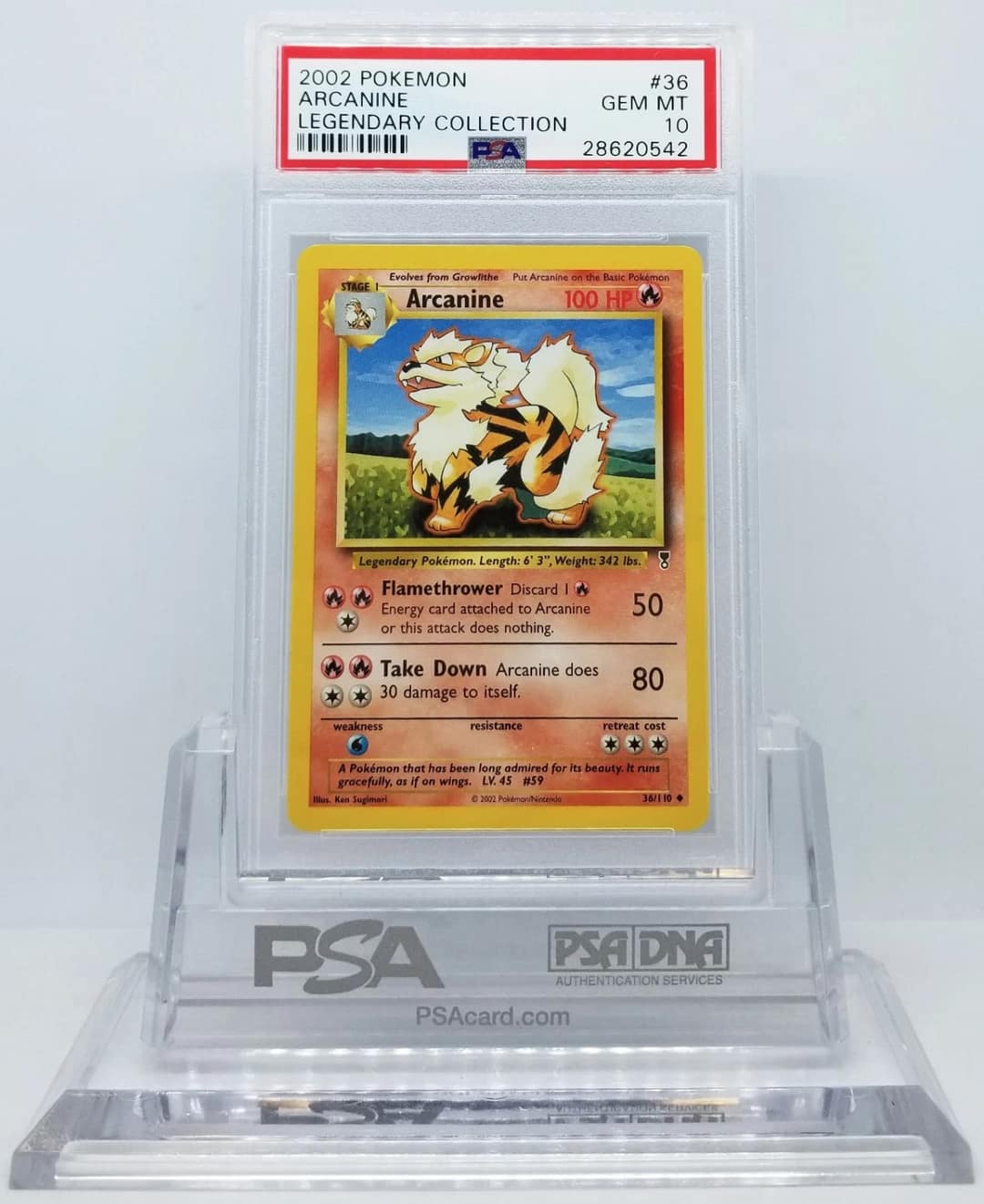 Arcanine