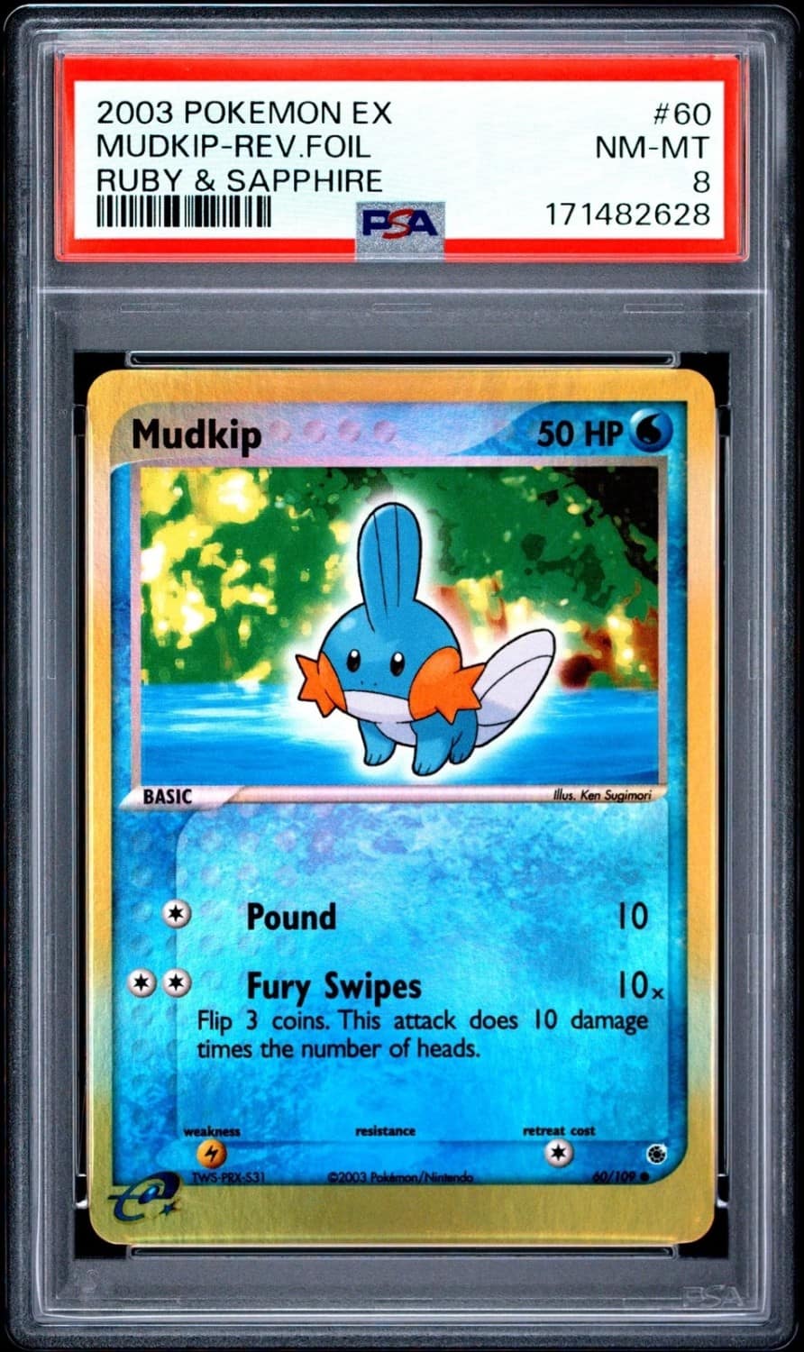 Mudkip