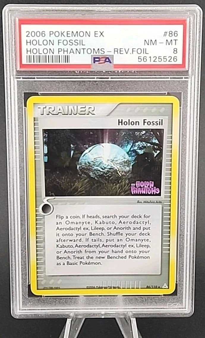 Holon Fossil