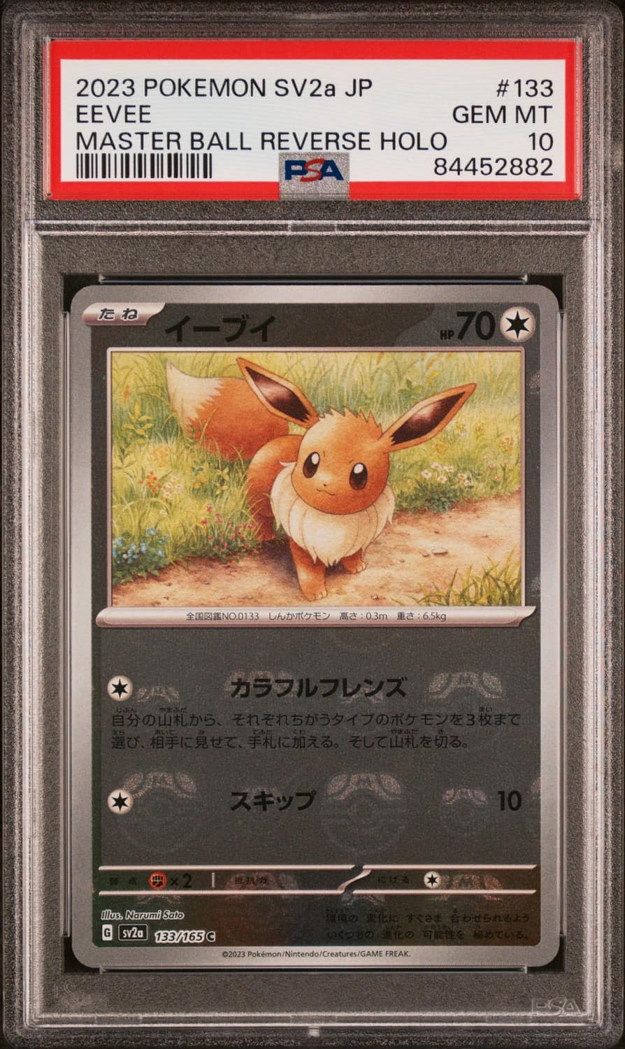 Eevee
