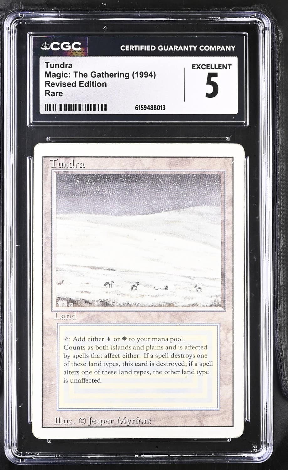 Tundra