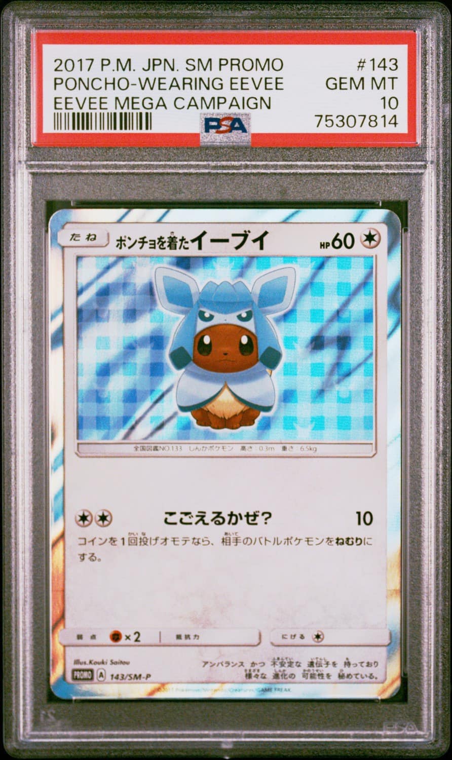 Poncho-Wearing Eevee