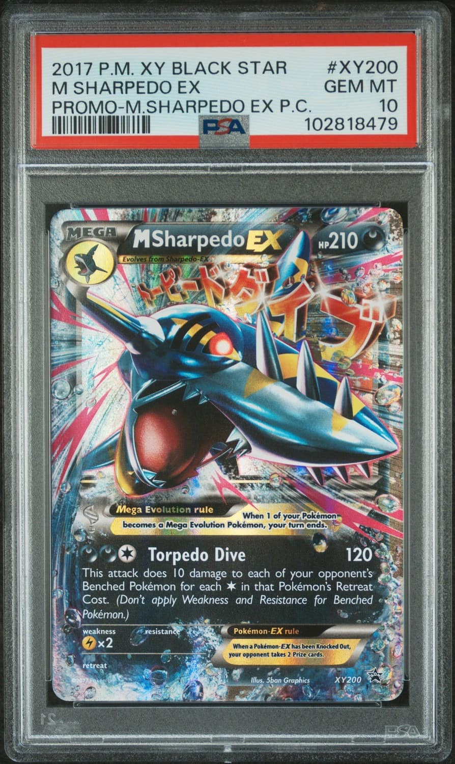 M Sharpedo Ex