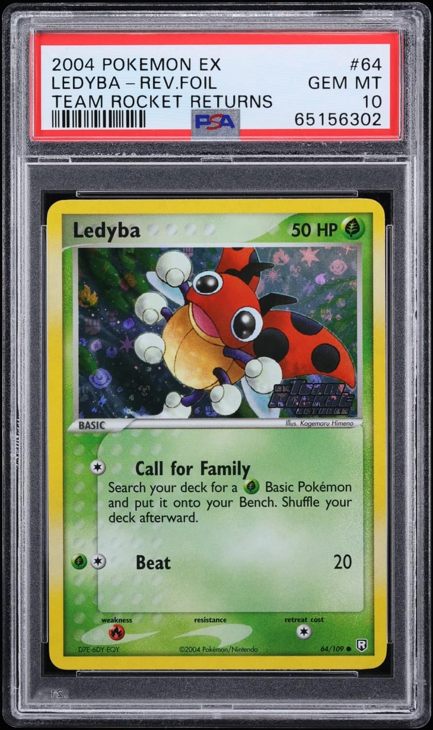 Ledyba