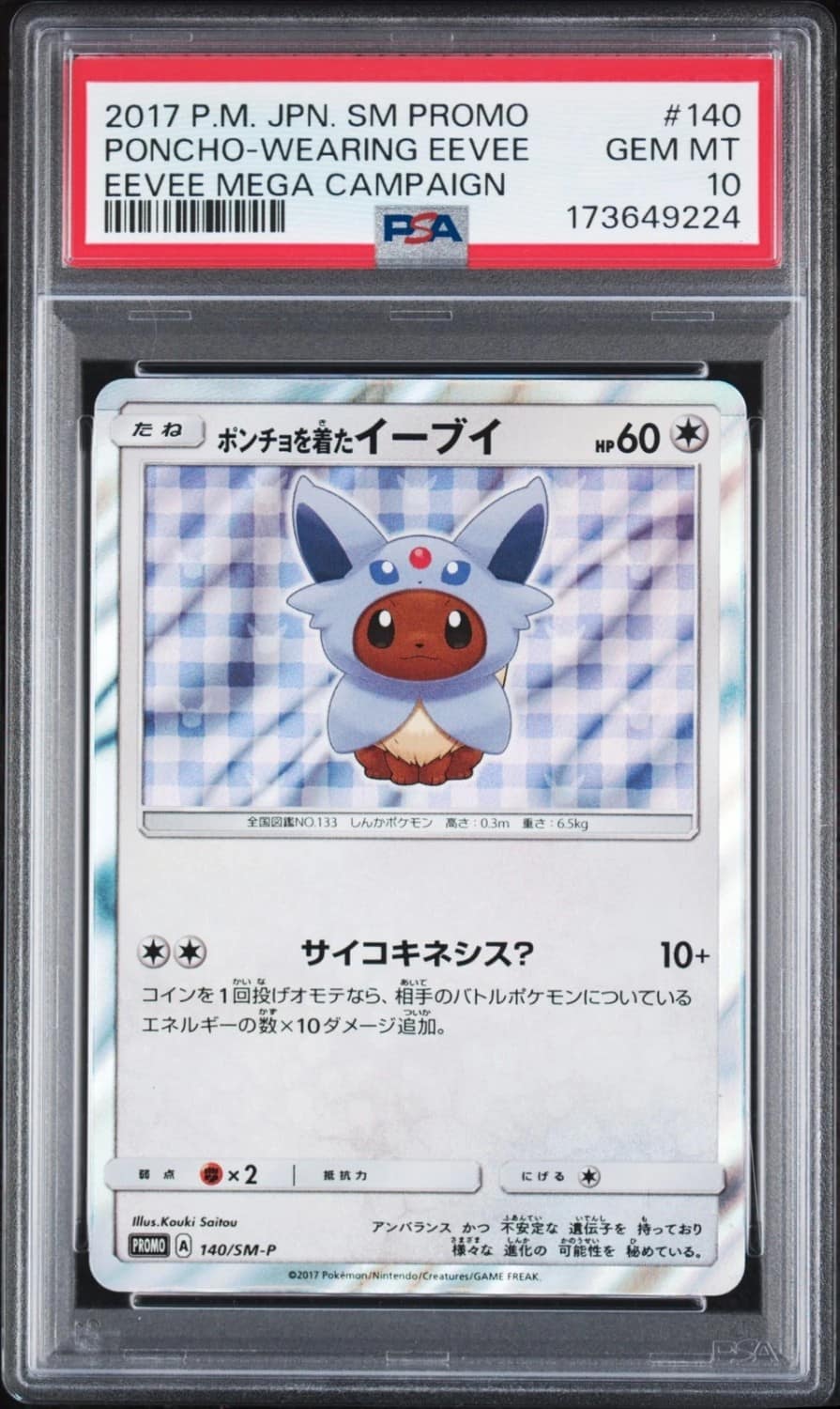 Poncho-Wearing Eevee