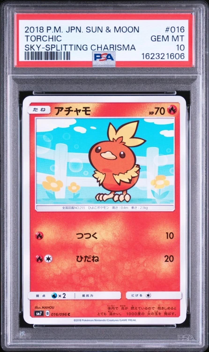 Torchic
