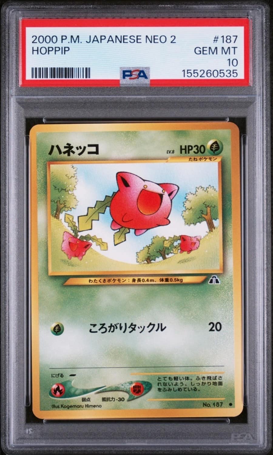 Hoppip