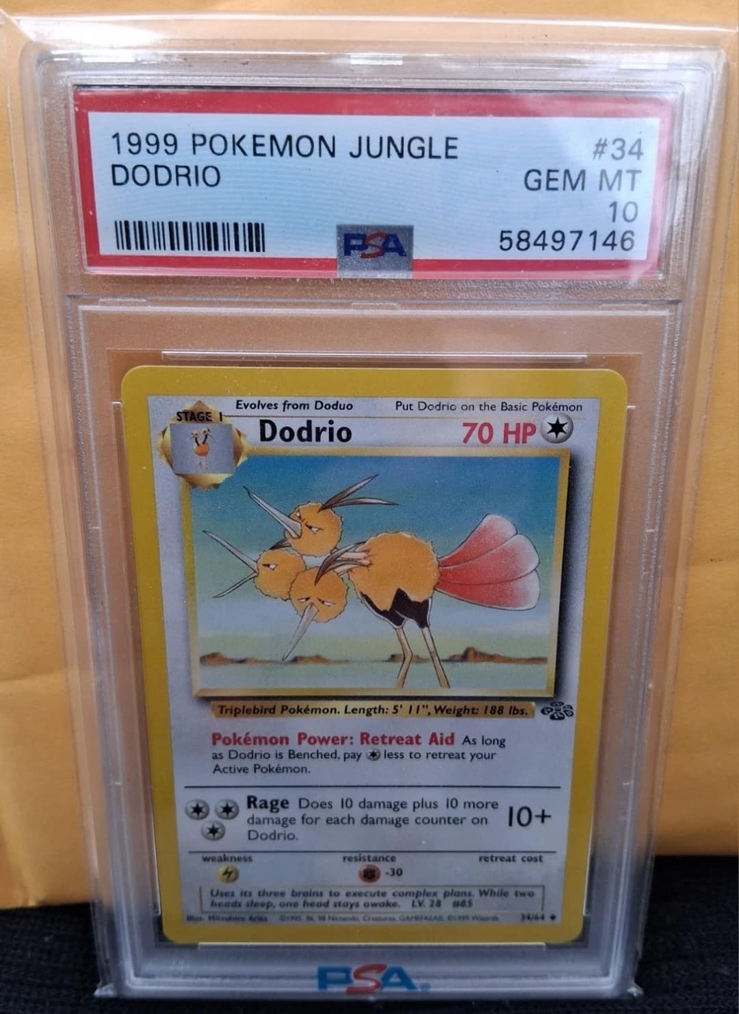 Dodrio