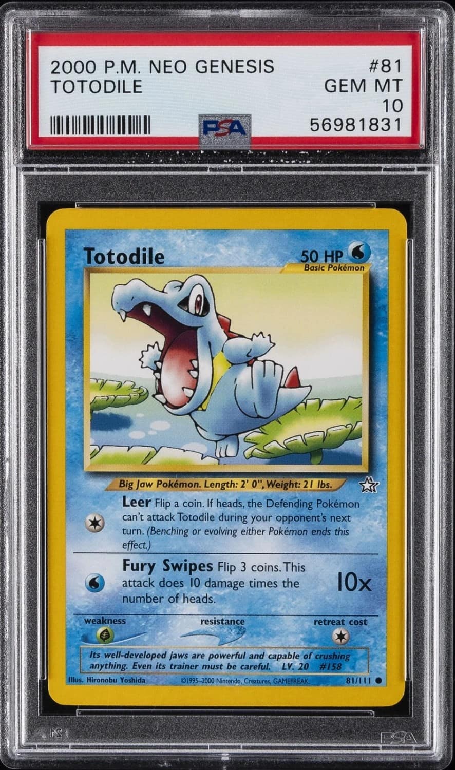 Totodile