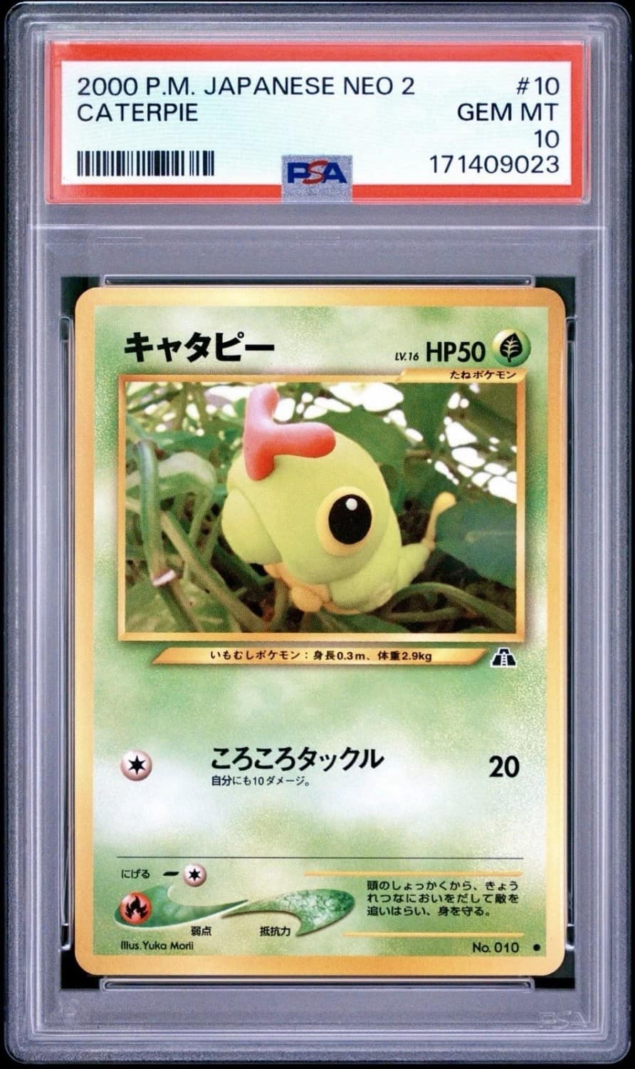 Caterpie