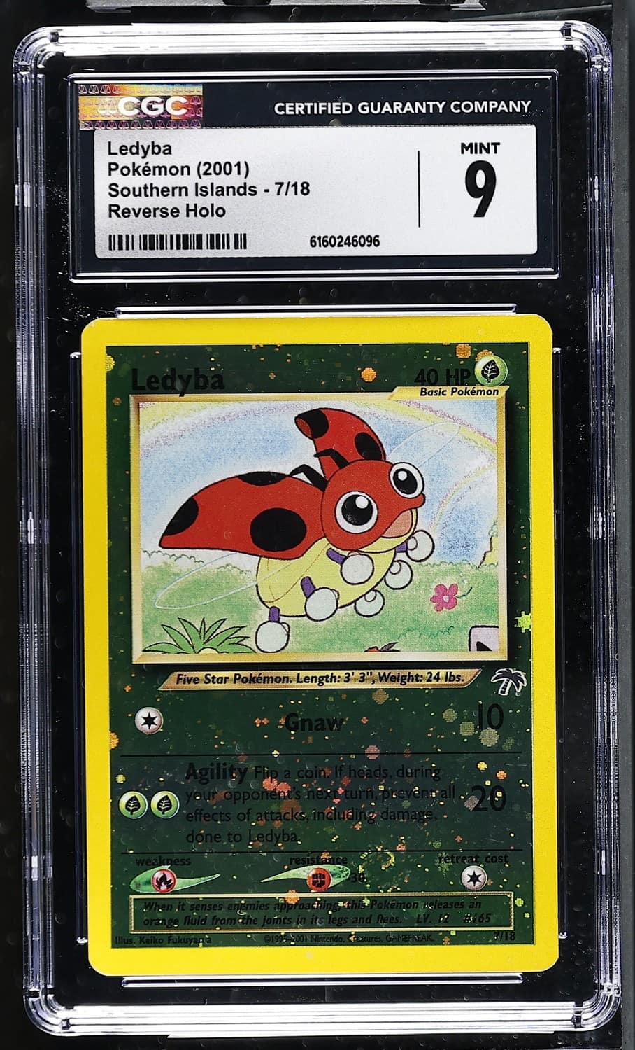 Ledyba