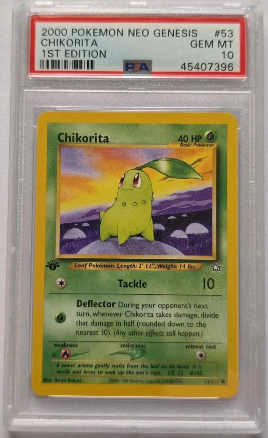 Chikorita