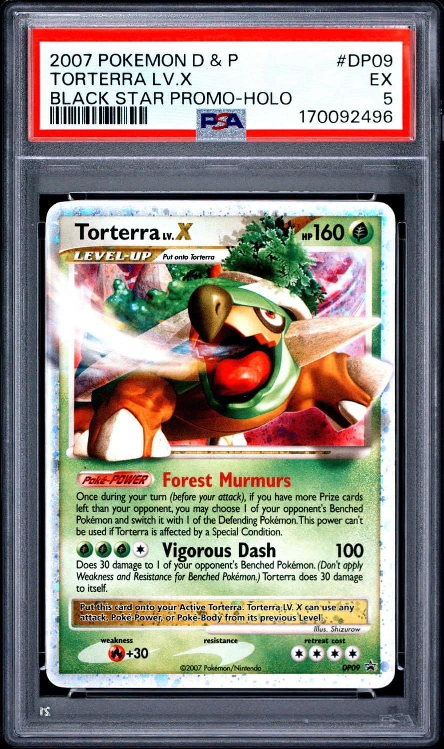 Torterra Lv X
