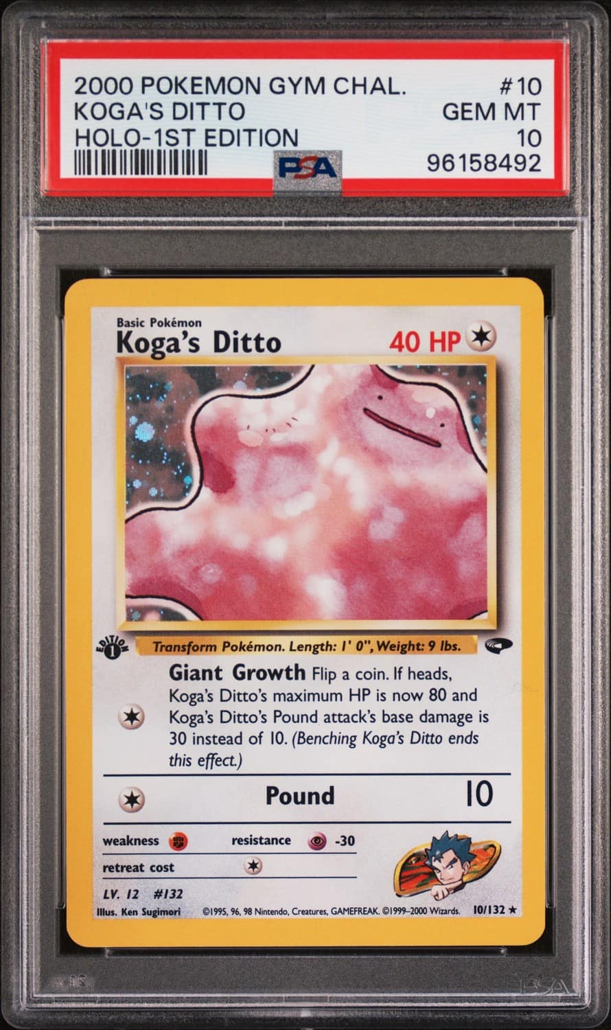 Koga'S Ditto