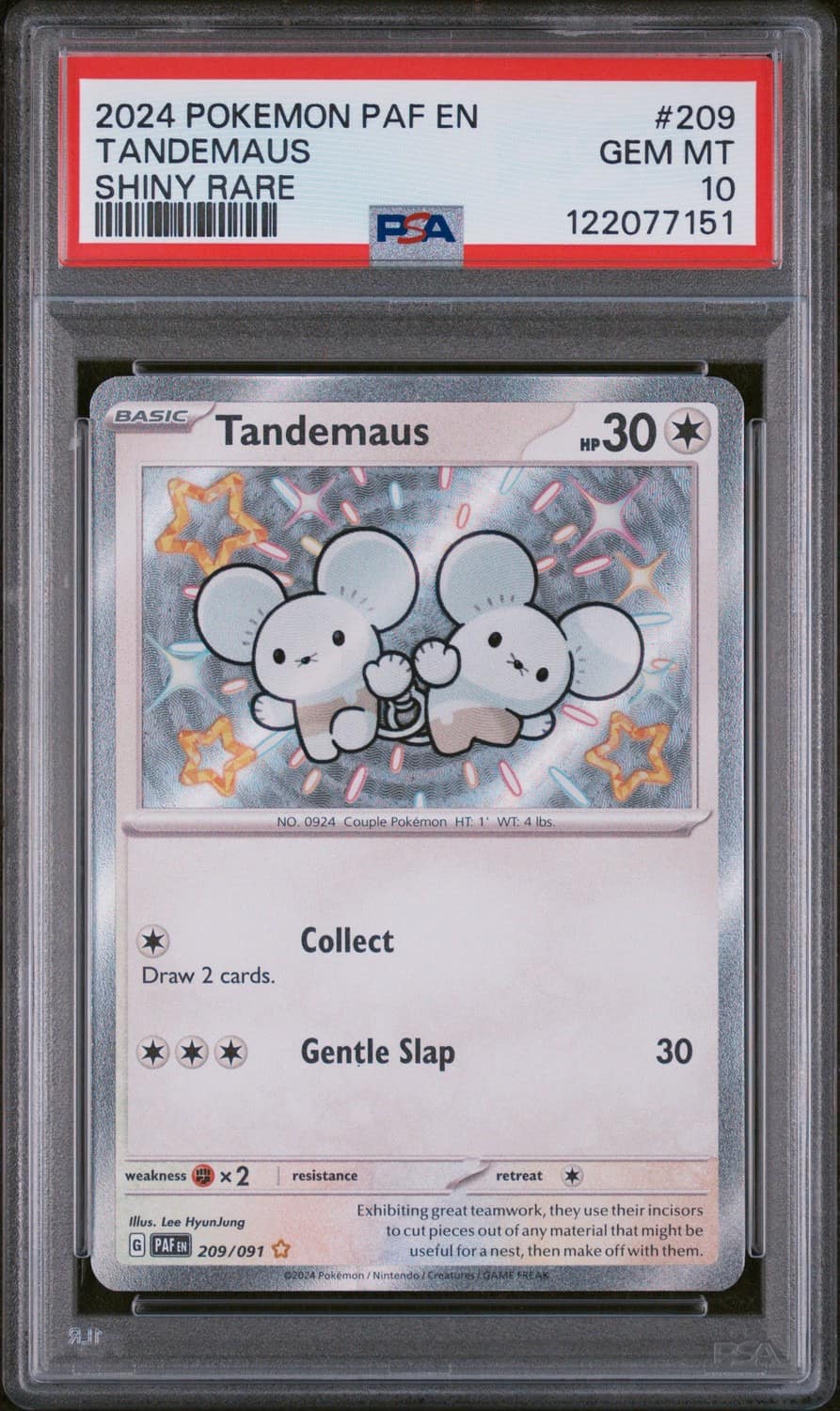 Tandemaus